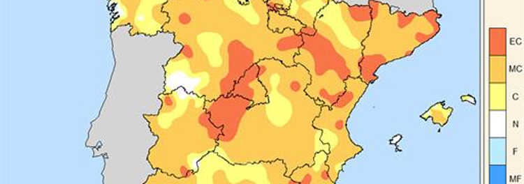 2019, un ao muy clido y normal en precipitacin