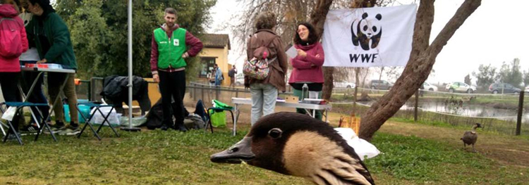 WWF: Denunciamos la falta de accin durante las dos ltimas dcadas para proteger los humedales de Espaa