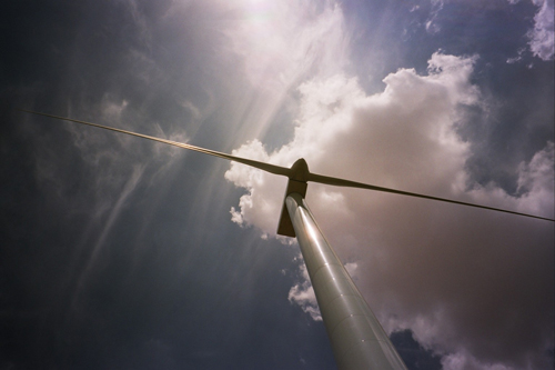 Noticia de Almera 24h: Las ONG ecologistas apoyamos la transicin energtica y demandamos una zonificacin vinculante para garantizar que su desarrollo proteja la biodiversidad