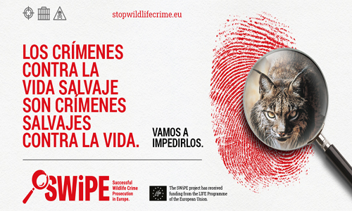 Noticia de Almera 24h: WWF: Lanzamos una nueva campaa para llamar la atencin sobre la gravedad los delitos contra la fauna