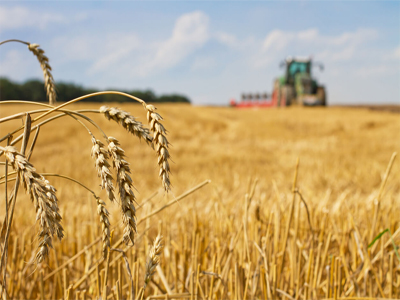 Noticia de Almera 24h: El precio de los alimentos sube a niveles no vistos desde hace una dcada