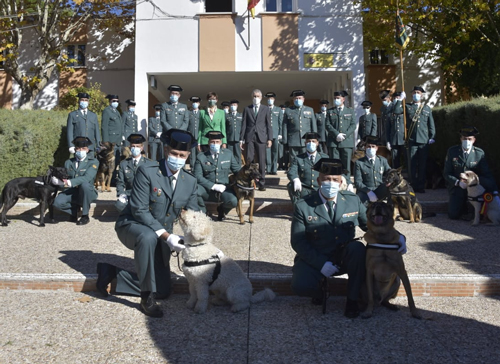 Grande-Marlaska entrega las primeras condecoraciones al mrito canino de la Guardia Civil