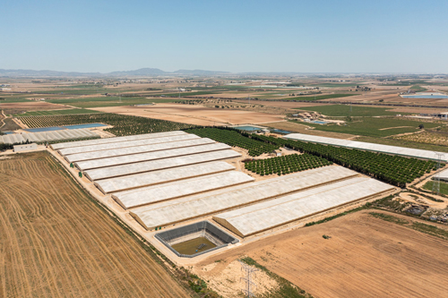 WWF reclama medidas eficaces para acabar con la contaminacin por nitratos provenientes de la agricultura y ganadera industriales