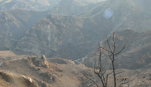 WWF: Iniciamos la restauracin de la zona calcinada en Cortes de Palls (Valencia) en el segundo incendio forestal ms grande del siglo en Espaa