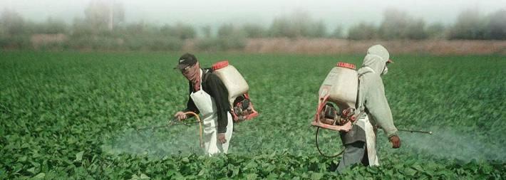 Ecologistas en Accin: Reclaman una reduccin del 50 % en el uso de pesticidas para 2023