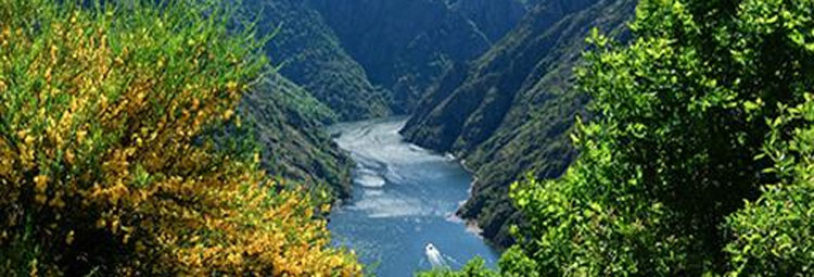 Noticia de Almera 24h: La Ribeira Sacra, nueva candidatura de Espaa para Patrimonio Mundial de la UNESCO