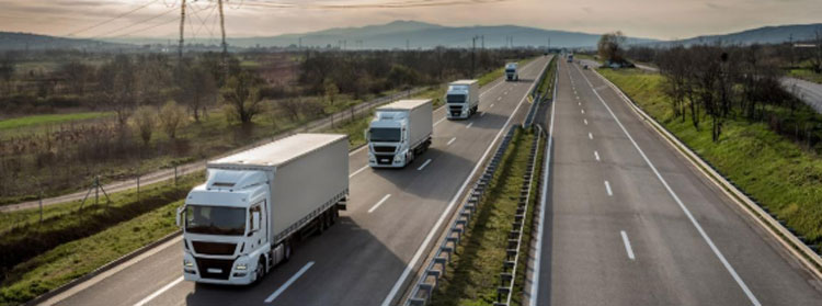 Noticia de Almera 24h: El Parlamento Europeo busca atajar las prcticas ilegales en el transporte por carretera y mejorar las condiciones laborales de los conductores