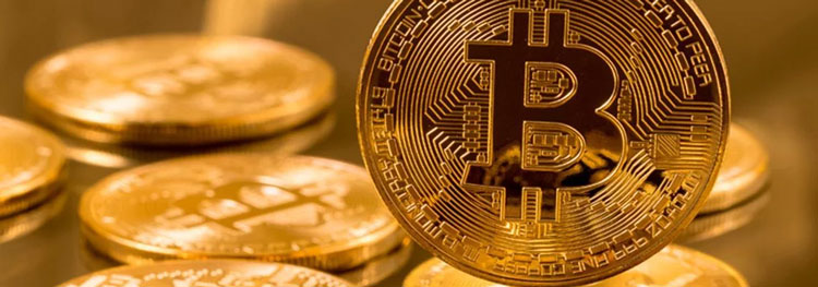 Noticia de Almera 24h: Desarticulada una organizacin de traficantes de marihuana que ocultaba sus beneficios minando criptomonedas
