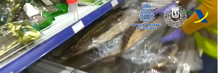 Inmovilizados ms de 500 kilos de anguila congelada en locales de alimentacin de Madrid