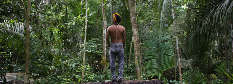 Brasil: Riesgo de derramamiento de sangre en la Amazona a menos que el gobierno proteja a los pueblos indgenas