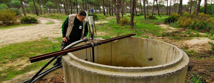 WWF: Rechazamos las acciones de presin ejercidas por los regantes ilegales de Doana