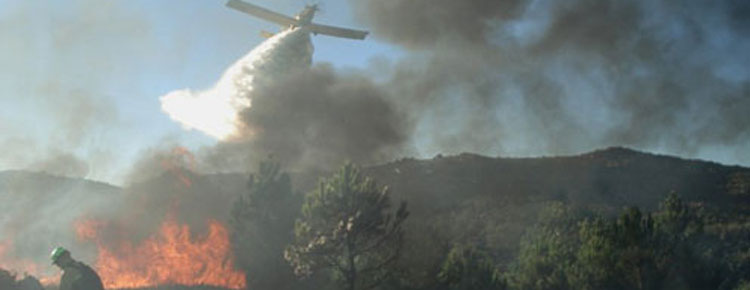 Noticia de Almera 24h: Planas brinda apoyo a Madrid, Castilla-La Mancha y Castilla y Len para la restauracin de las zonas afectadas por incendios forestales