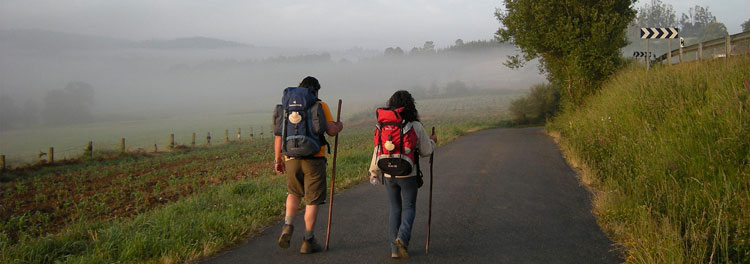 Noticia de Almera 24h: Cae un grupo delictivo dedicado robar en albergues del Camino de Santiago