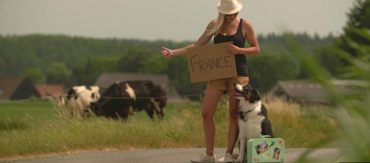 Noticia de Almera 24h: Viajar con mascotas en la UE: normas a tener en cuenta