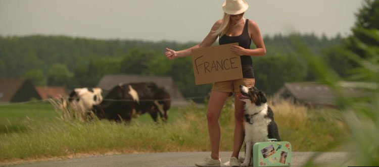 Noticia de Almera 24h: Viajar con mascotas en la UE: normas a tener en cuenta