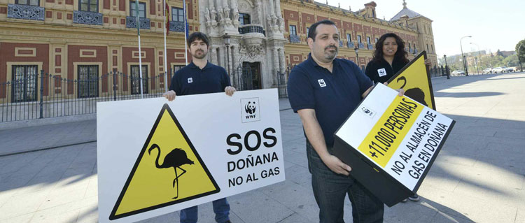 Noticia de Almera 24h: WWF: Celebramos la sentencia contra los almacenes de gas de Naturgy en Doana