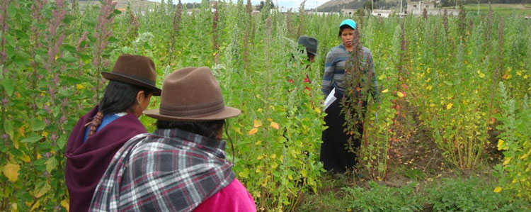 Noticia de Almera 24h: Crecen los niveles de pobreza en Amrica Latina